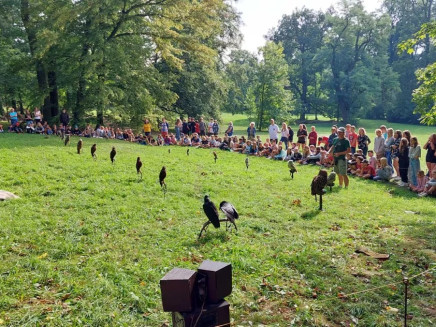 qal8jok67rb881s-313230302e2e38302e31