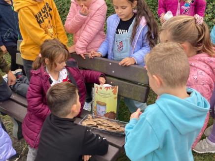 PHOTO-2024-11-14-20-42-41