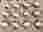 IMG-20241206-WA0000