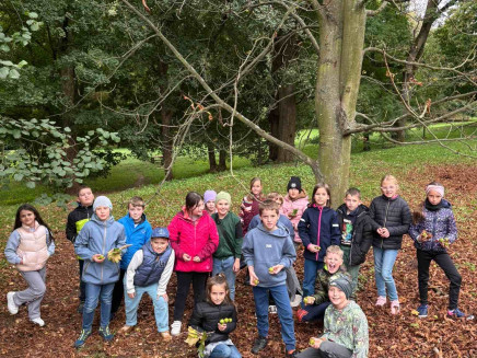 5f7e35e5-58d8-4a53-8edf-09cd0ac633b6