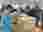 mosty12025