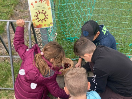 9_PHOTO-2024-11-14-20-42-41