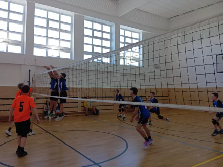 of88ava34z2x4es-313230302e2e38302e31