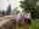 IMG-20240513-WA0006