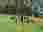 IMG20250410102621