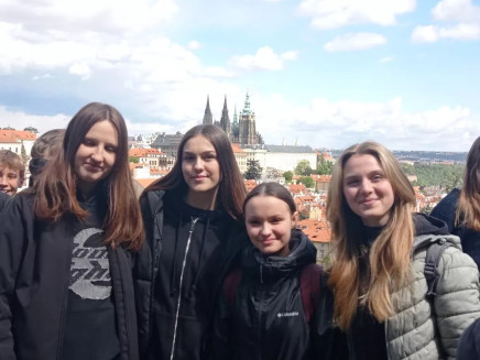 rcawjdl34tqebfs-313230302e2e38302e31