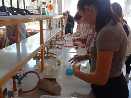 md4jxg264tqebfs-313230302e2e38302e31