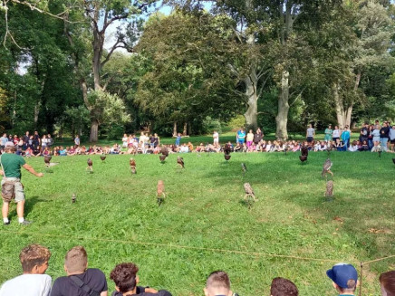 hknfnvz37rb881s-313230302e2e38302e31