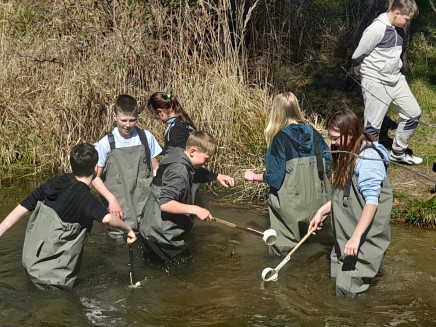 WhatsApp Image 2026-04-08 at 13.39.32 (1)