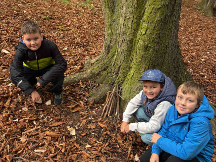 1fd9603a-96d7-4e2f-aa04-a2c13263533e