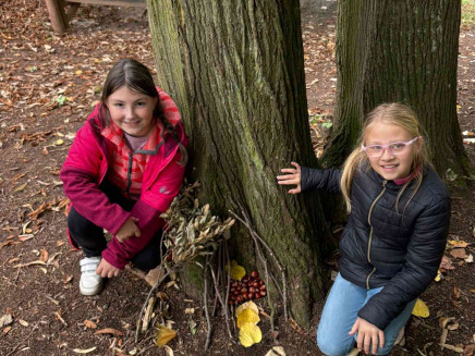 f793781c-6961-45b5-97e2-be3bca67f666