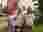 IMG-20240513-WA0005