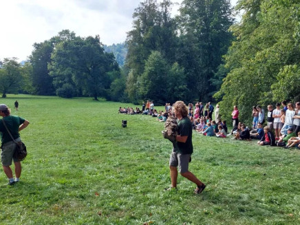 mz4v34uh7rb881s-313230302e2e38302e31