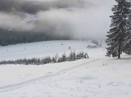 WhatsApp Image 2026-01-15 at 17.38.39