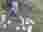 20250430_132831