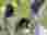 IMG-20250415-WA0013