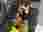 thumbnail_IMG_1498