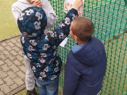 IMG_20251022_132747 (1)