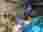 thumbnail_IMG_1676