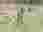 IMG-20250415-WA0002