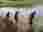 IMG-20250415-WA0006