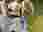 5fwiqr6m1qdqfs-313230302e2e38302e31