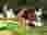 v9rapatn1qdqfs-3730302e2e39302e31