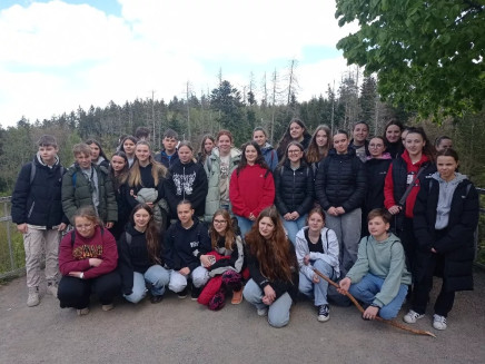 vkfeuvy64tqebfs-313230302e2e38302e31