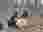 IMG-20250415-WA0014