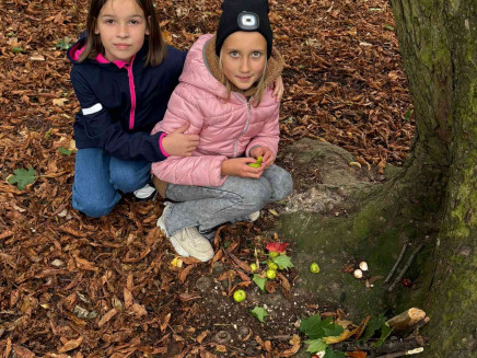 09b11adc-f2ab-4e8c-8c6e-371a18cdfb0f