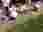 IMG-20240513-WA0011